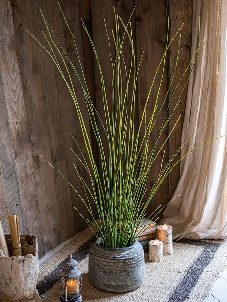 Artificial Faux Rough Horsetail Plant Long Stem 54" Tall by RusticReach
