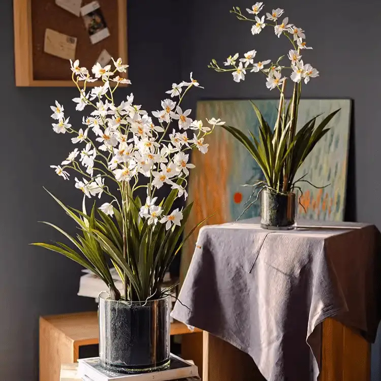 White Hui Lan Orchid in Glass Pot by RusticReach