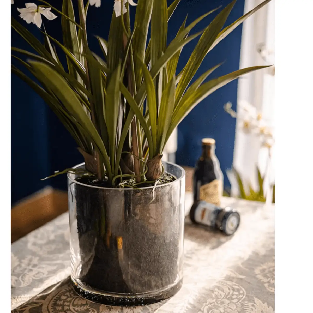 White Hui Lan Orchid in Glass Pot by RusticReach