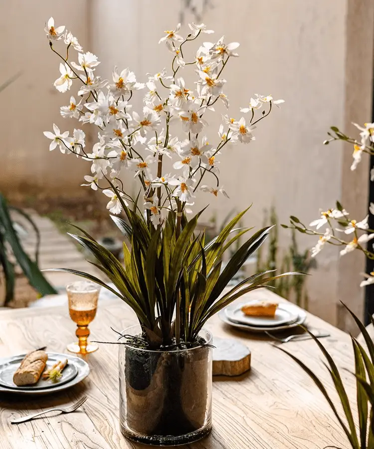White Hui Lan Orchid in Glass Pot by RusticReach