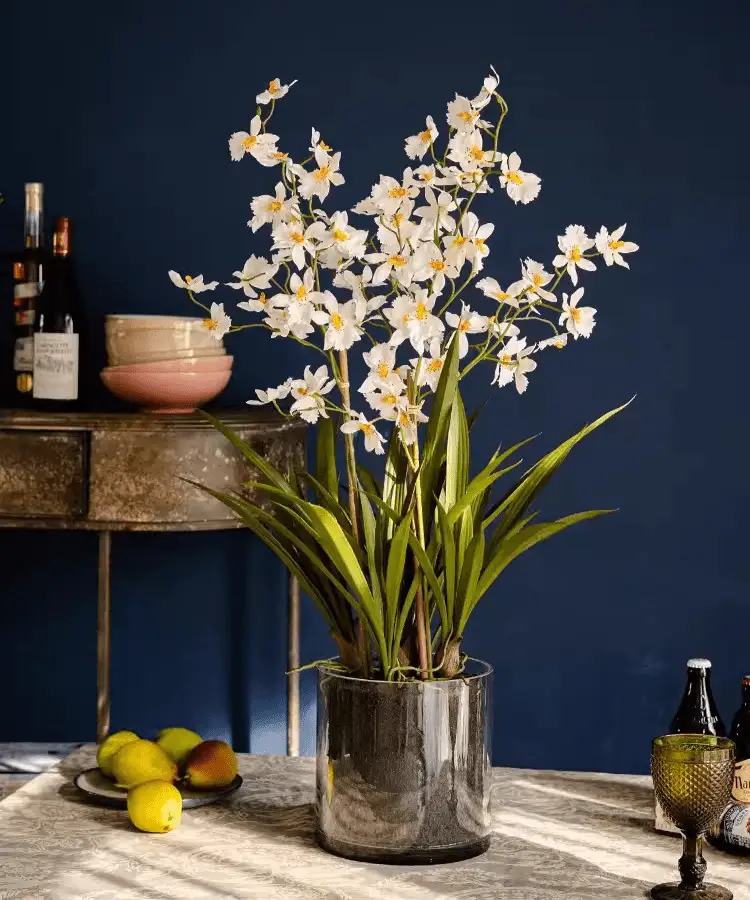 White Hui Lan Orchid in Glass Pot by RusticReach