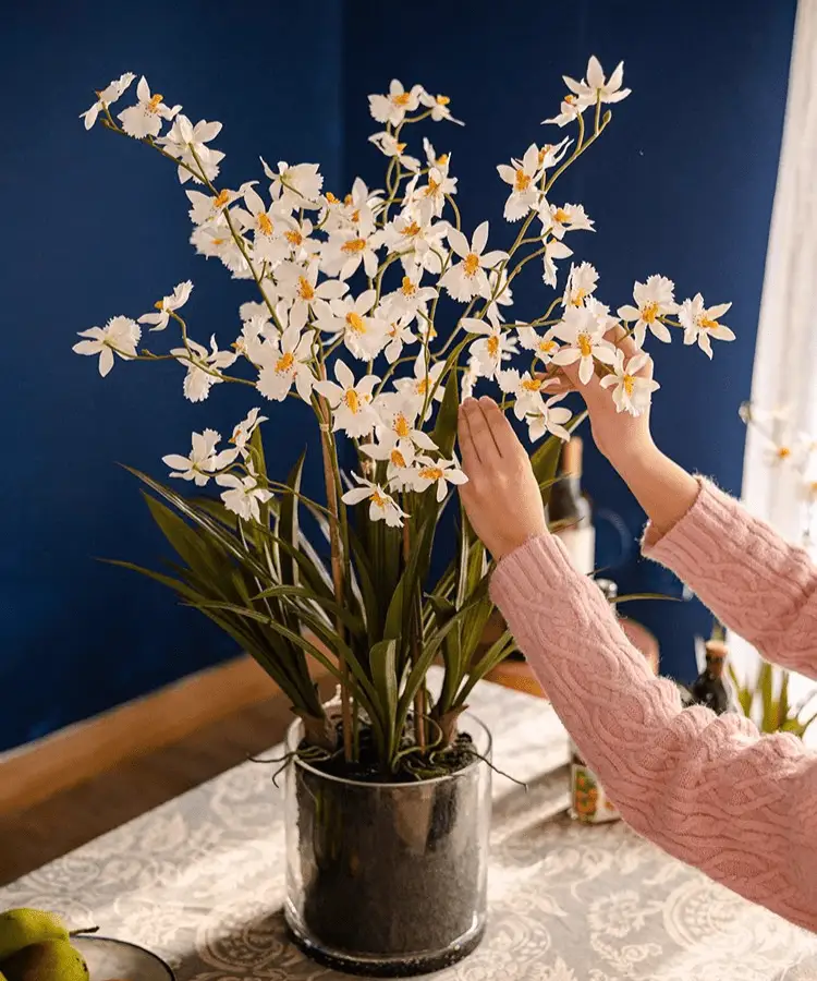 White Hui Lan Orchid in Glass Pot by RusticReach