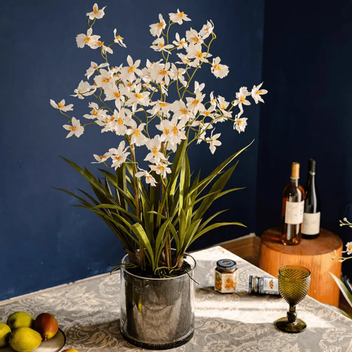 White Hui Lan Orchid in Glass Pot by RusticReach