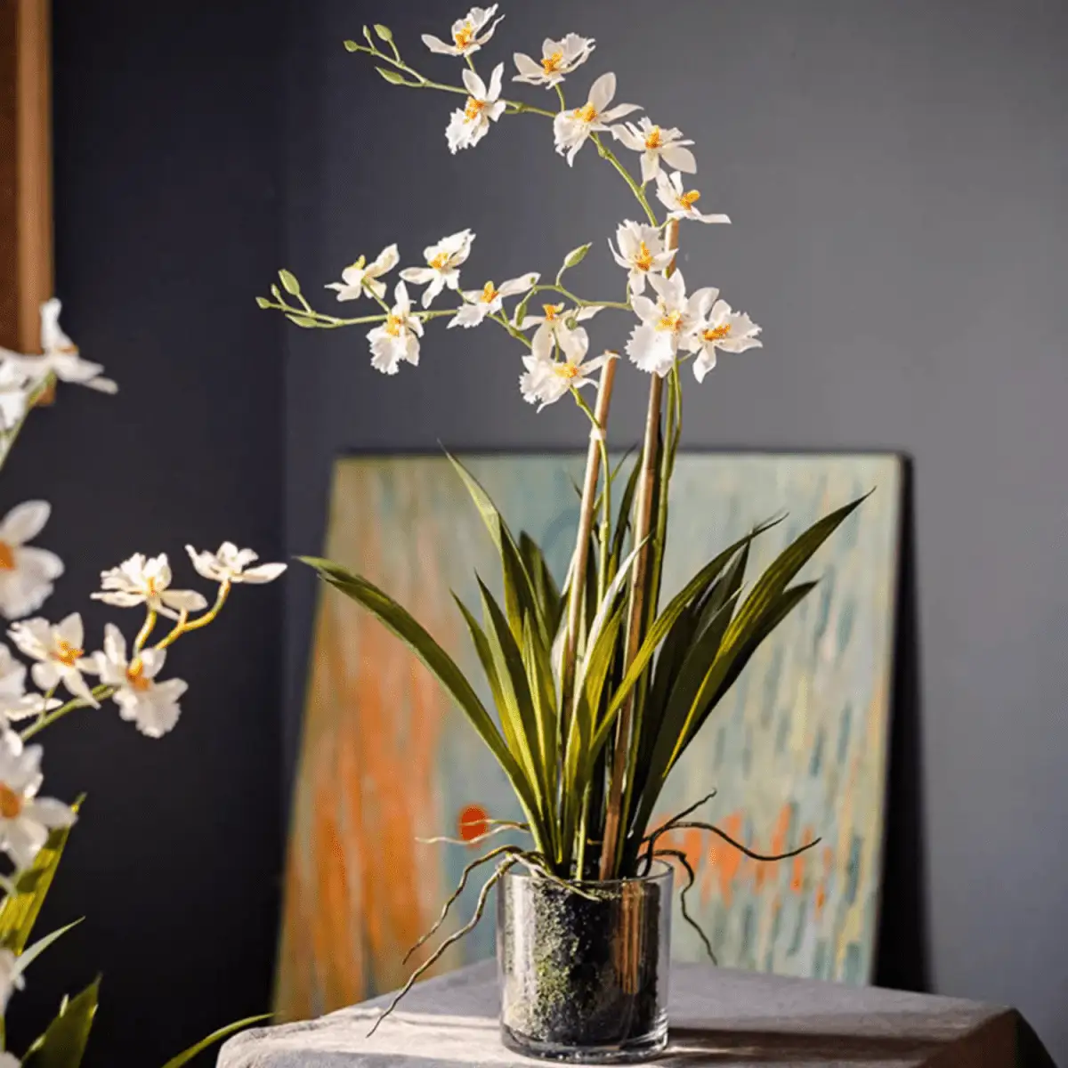 White Hui Lan Orchid in Glass Pot by RusticReach