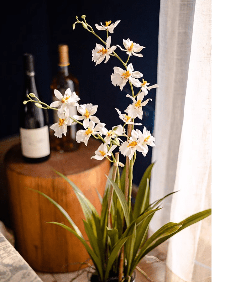 White Hui Lan Orchid in Glass Pot by RusticReach