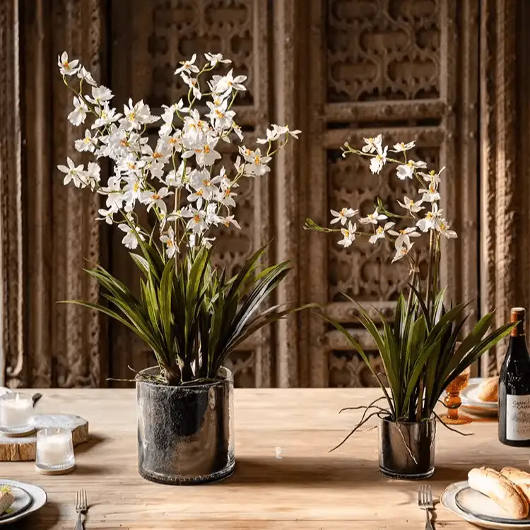 White Hui Lan Orchid in Glass Pot by RusticReach