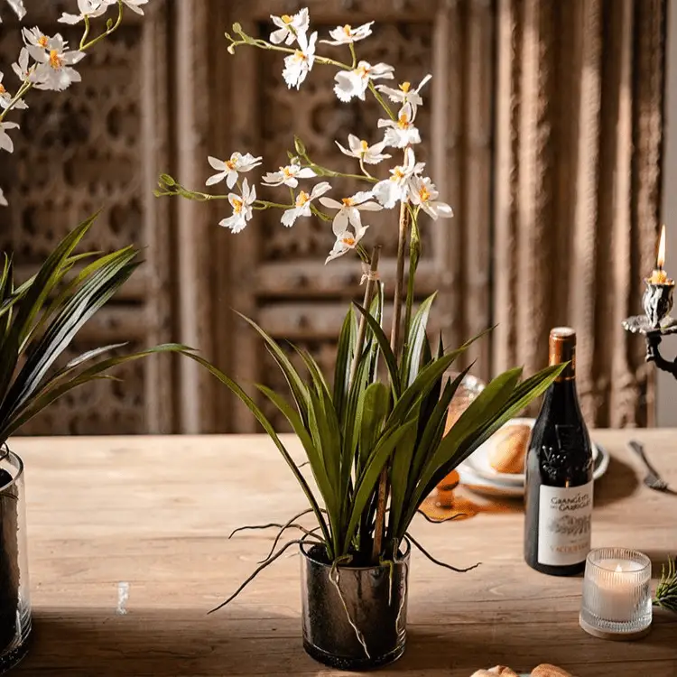 White Hui Lan Orchid in Glass Pot by RusticReach