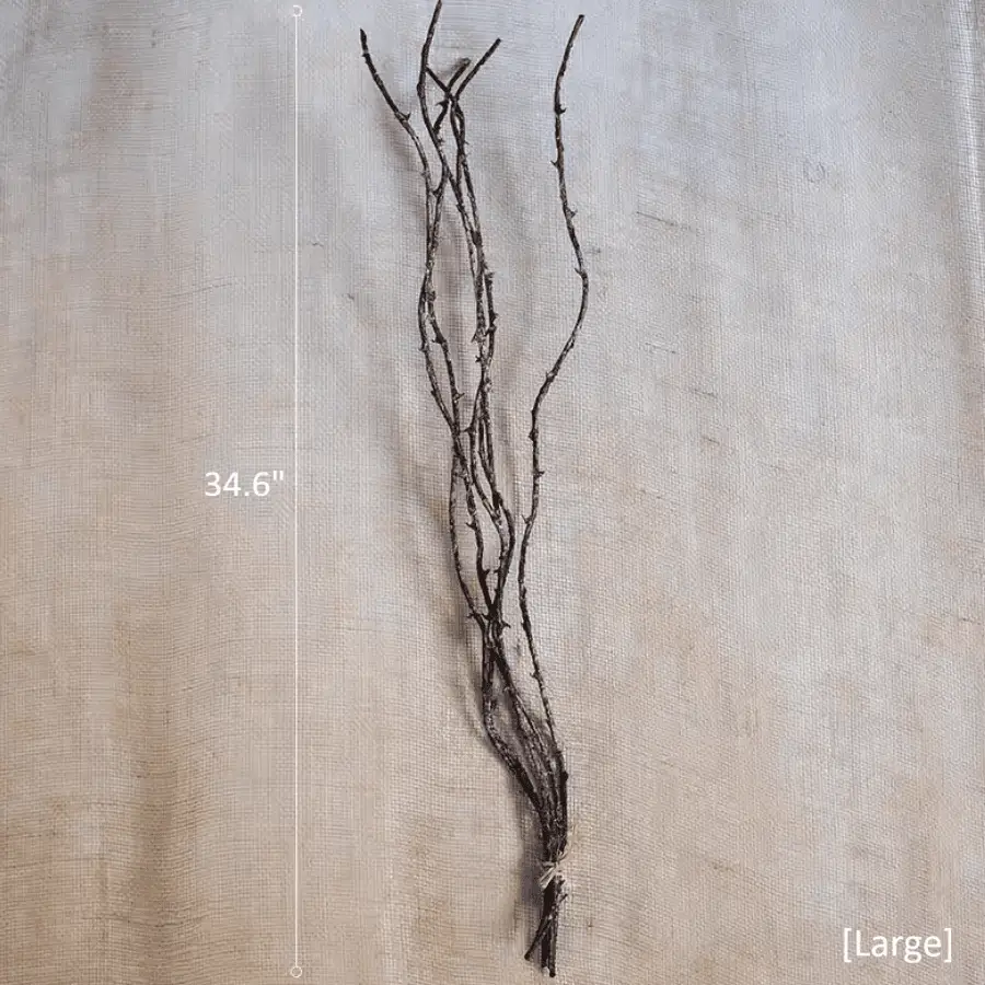 Ikebana Twig Branch by RusticReach