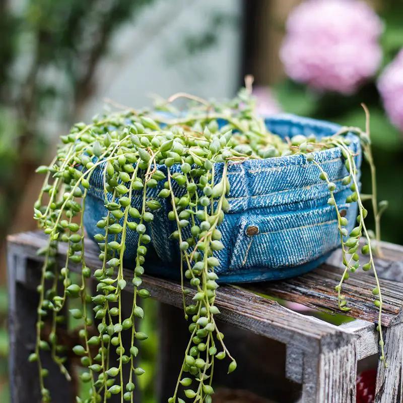 Pants for Plants Blue Jeans Cement Flower Pot by RusticReach