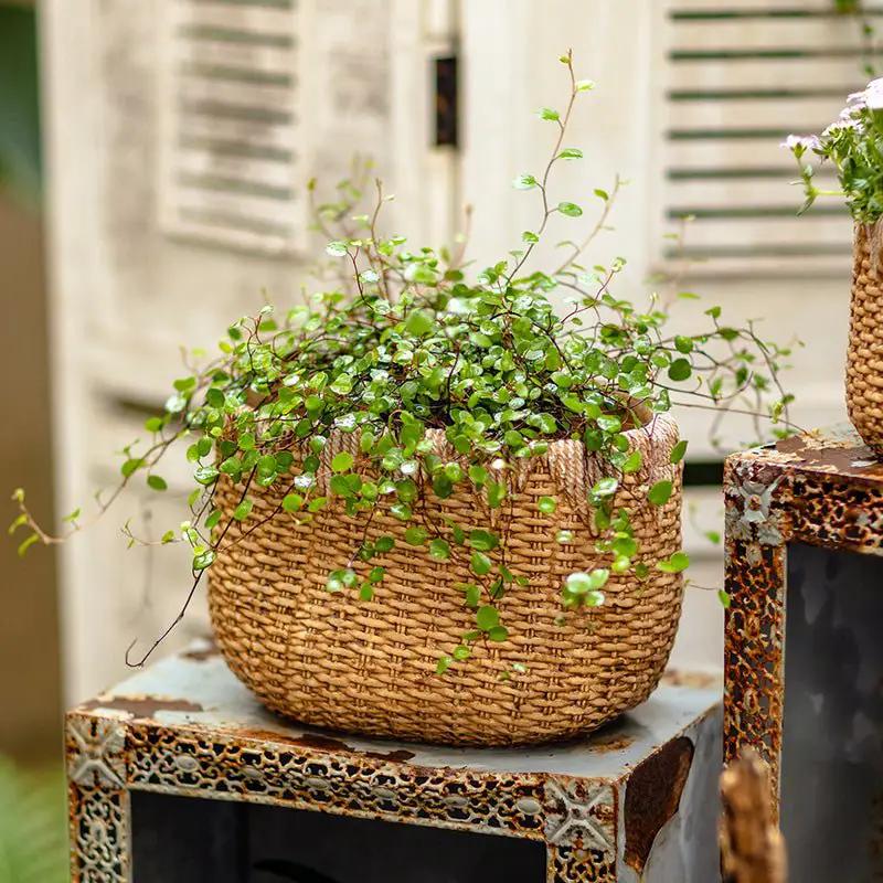 Lady Straw Basket Cement Planter by RusticReach