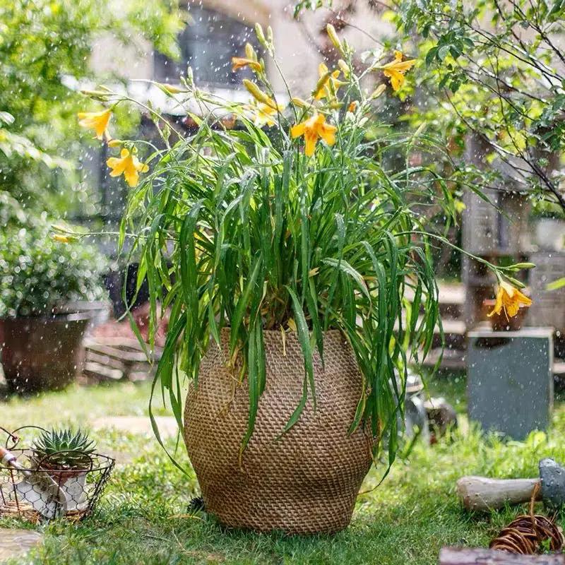 Large Basket Cement Pot Backyard Planter by RusticReach