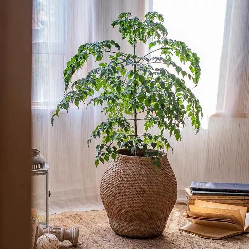 Large Basket Cement Pot Backyard Planter by RusticReach