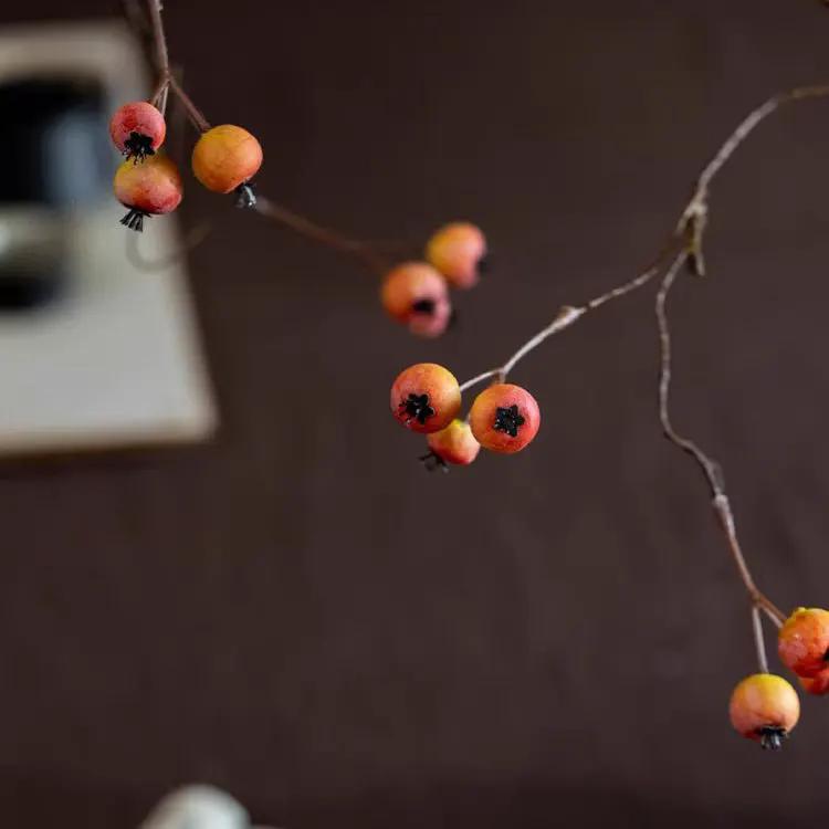 Leafless Berry Branch Stem 45.2" Tall by RusticReach