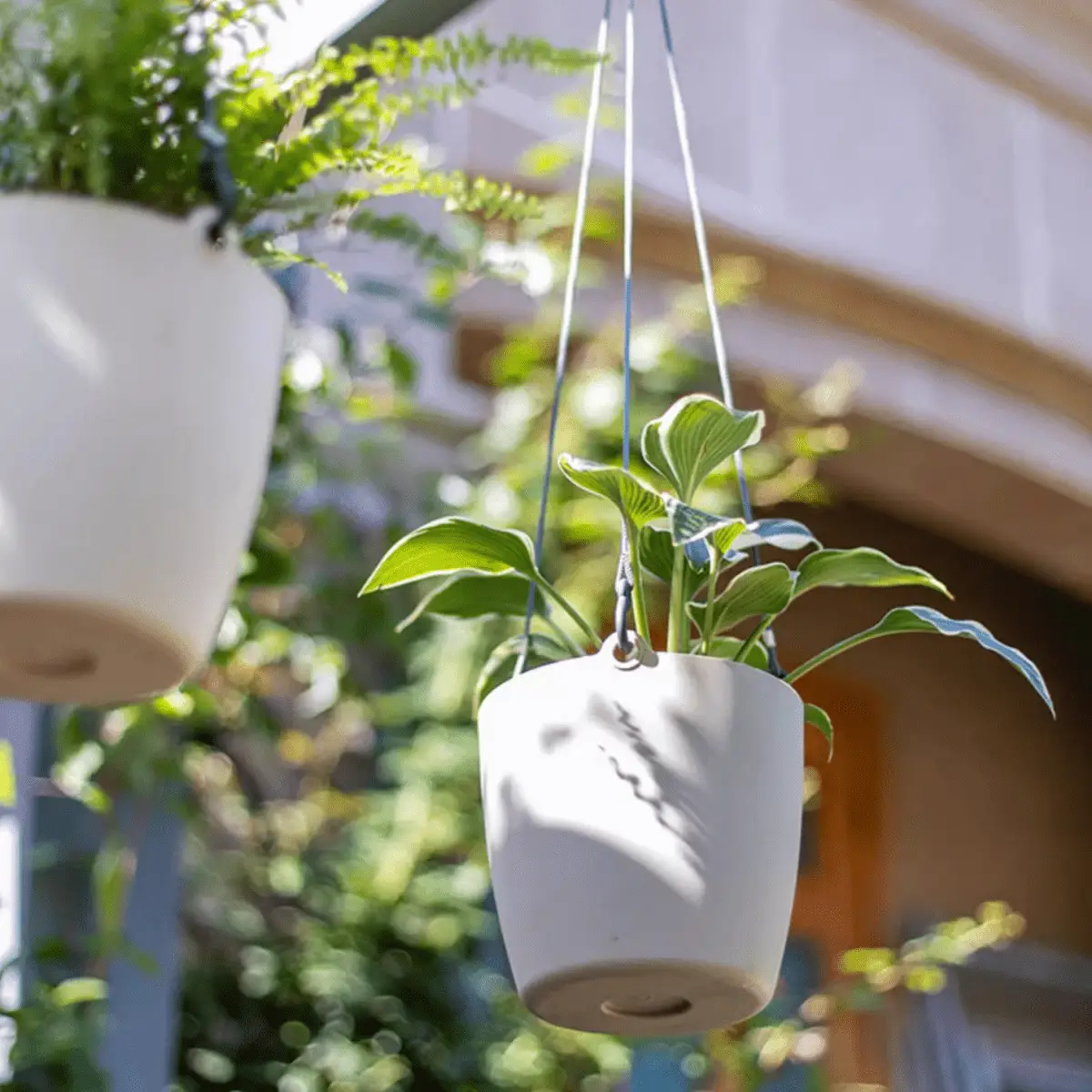 Modern Resin Hanging Planter for Artificial Plants by RusticReach