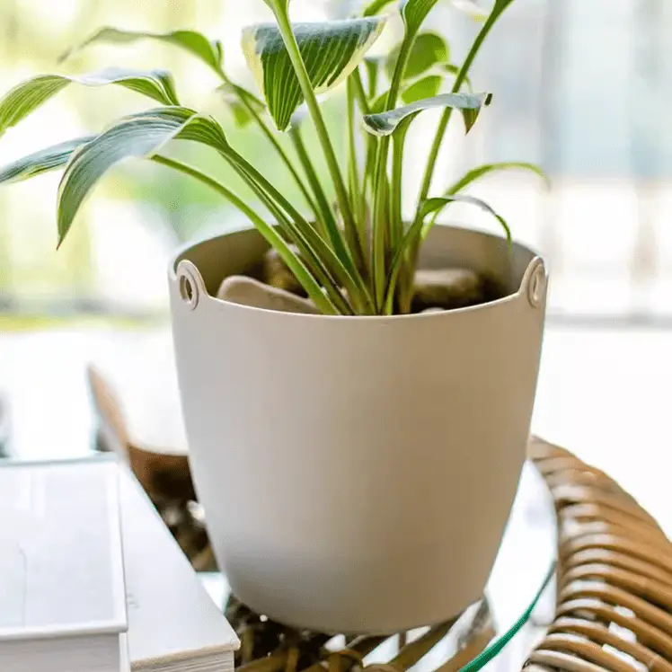 Modern Resin Hanging Planter for Artificial Plants by RusticReach