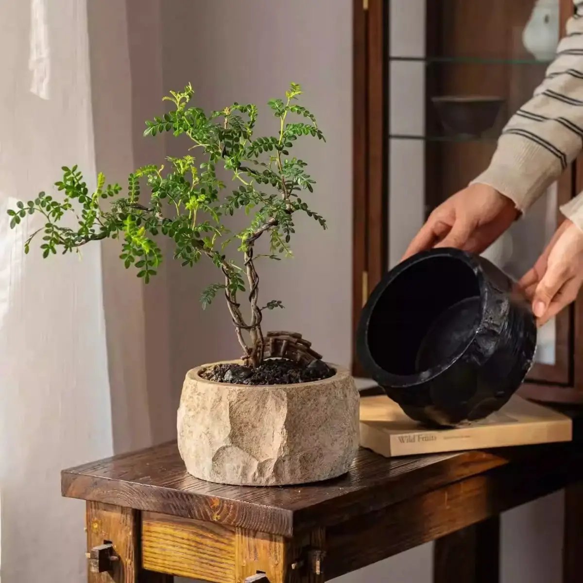 Mesa Cement Pot Planter by RusticReach