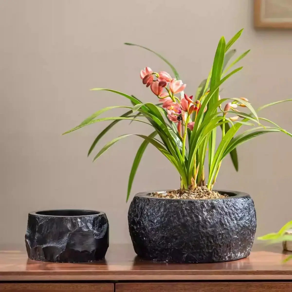 Mesa Cement Pot Planter by RusticReach