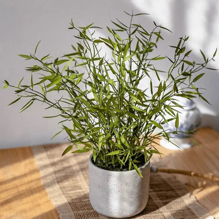 Realistic Mini Bamboo Leaf Potted Plant by RusticReach