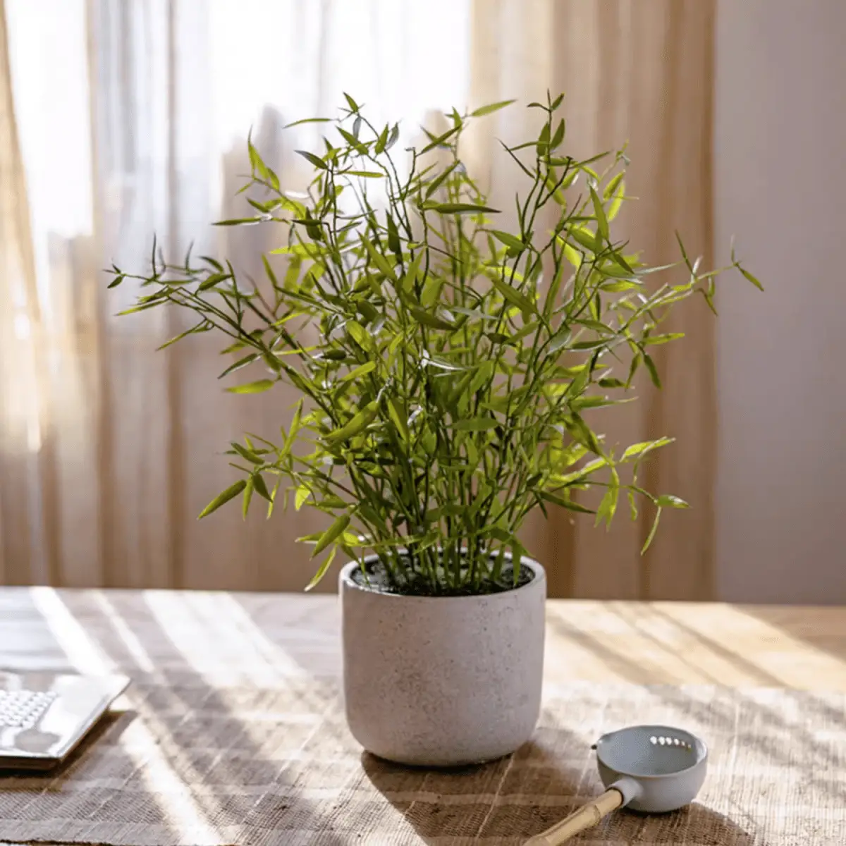Realistic Mini Bamboo Leaf Potted Plant by RusticReach