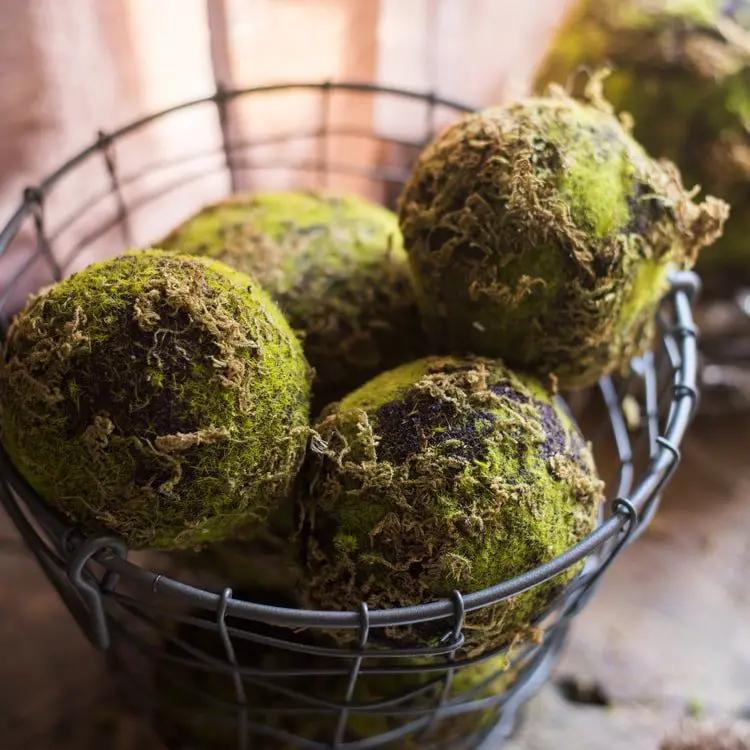 Faux Artificial Decorative Moss Ball by RusticReach
