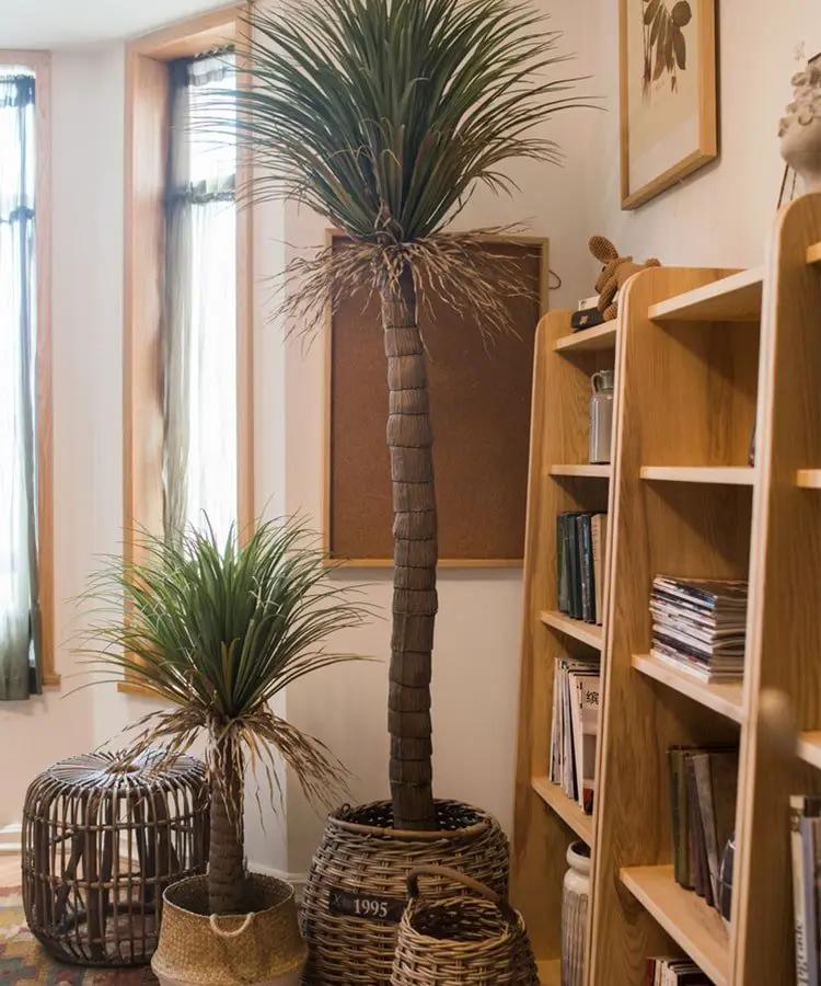 Moroccan Artificial Palm Tree In Pot by RusticReach