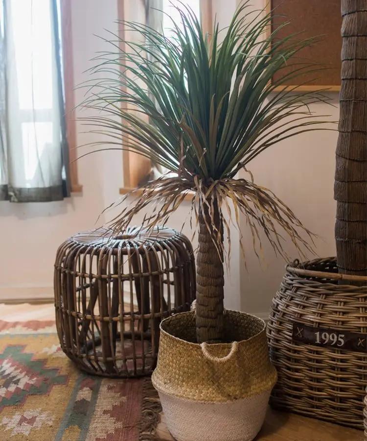 Moroccan Artificial Palm Tree In Pot by RusticReach