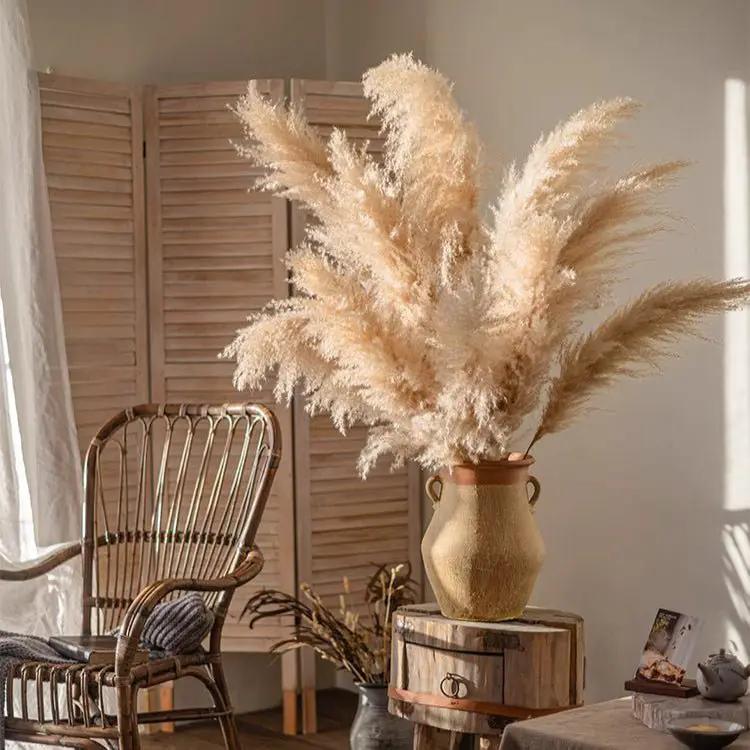 Natural Reed Stem 10 Stem Set 51" Tall by RusticReach
