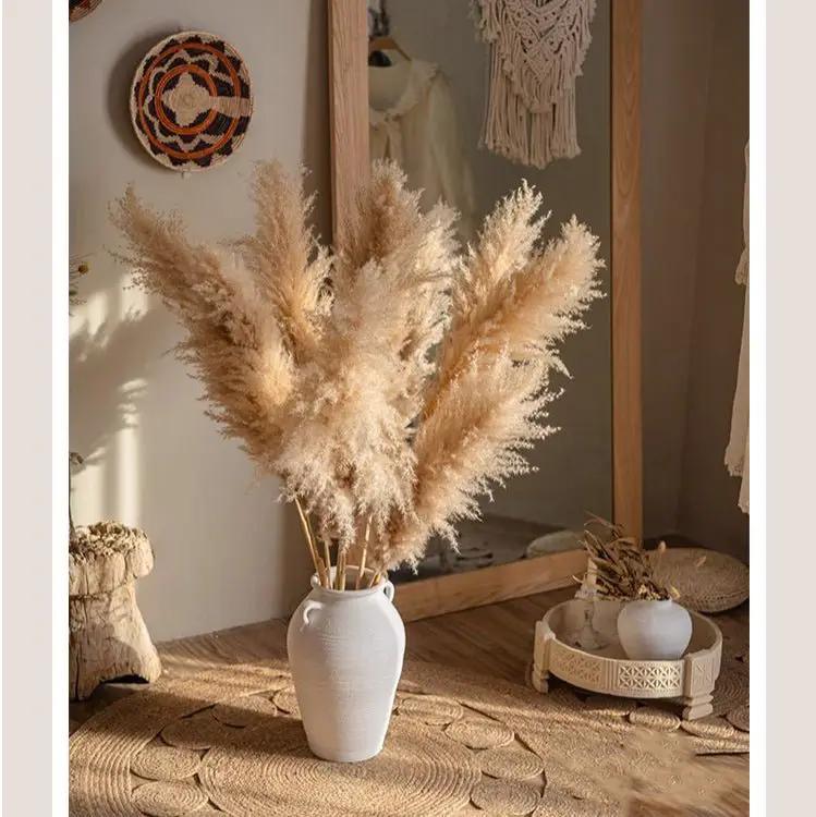 Natural Reed Stem 10 Stem Set 51" Tall by RusticReach