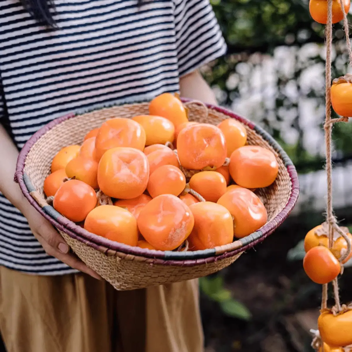 Artificial Persimmon Fruit String Decor 33.8" Long by RusticReach
