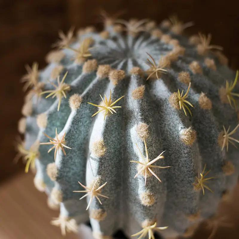Artificial Faux Cactus Ball In Pot by RusticReach