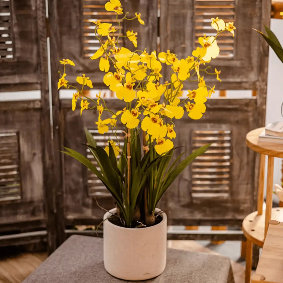 Potted Faux Dancing Lady Orchid by RusticReach
