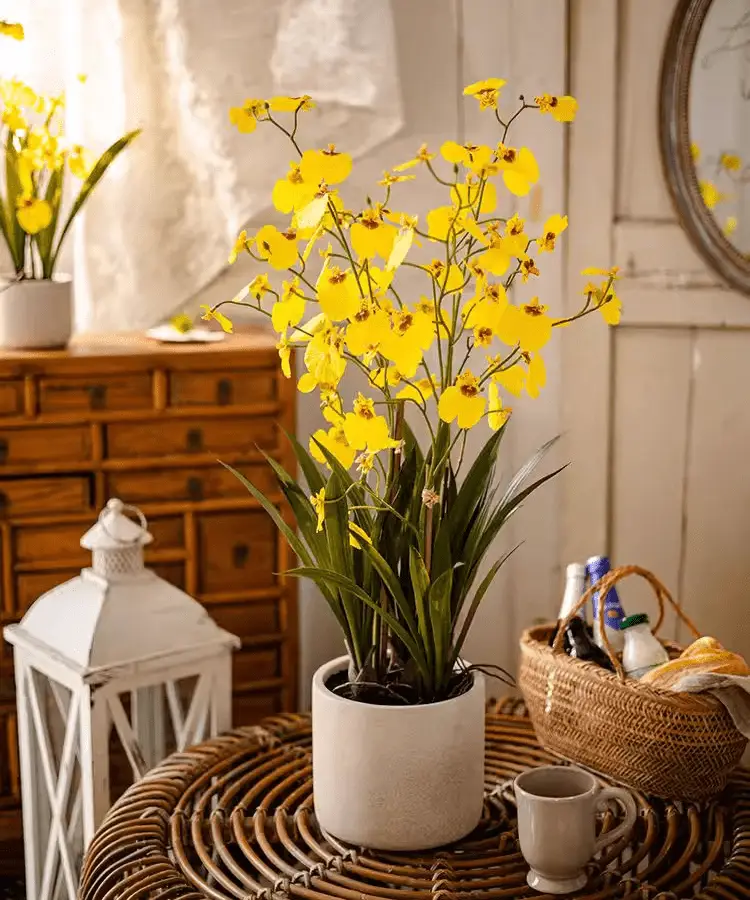 Potted Faux Dancing Lady Orchid by RusticReach