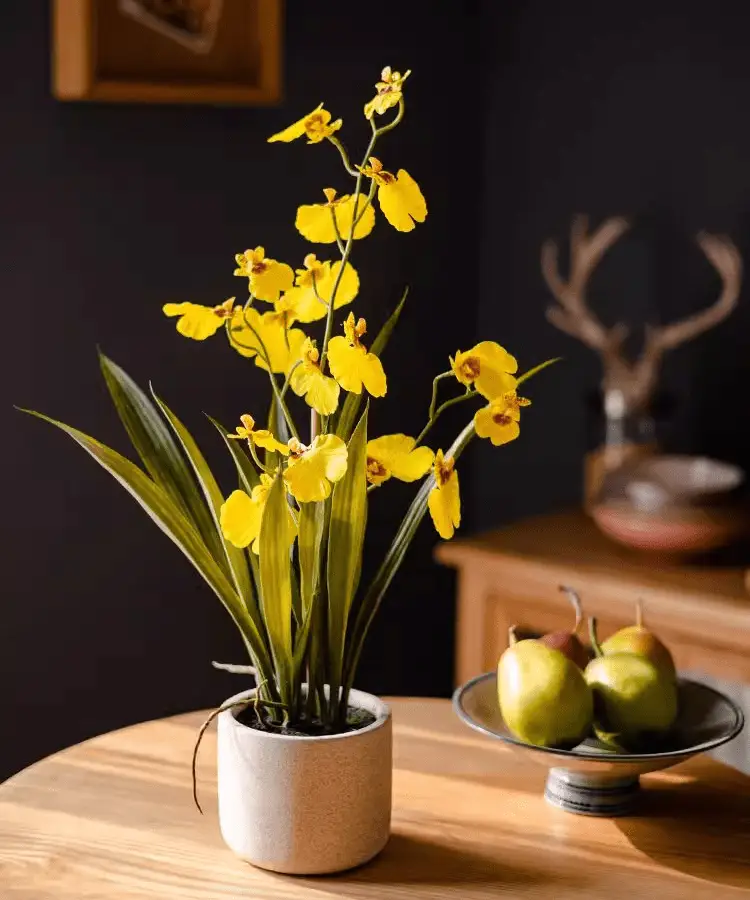 Potted Faux Dancing Lady Orchid by RusticReach