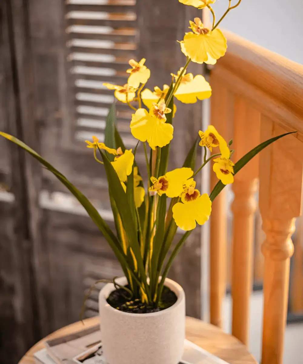 Potted Faux Dancing Lady Orchid by RusticReach