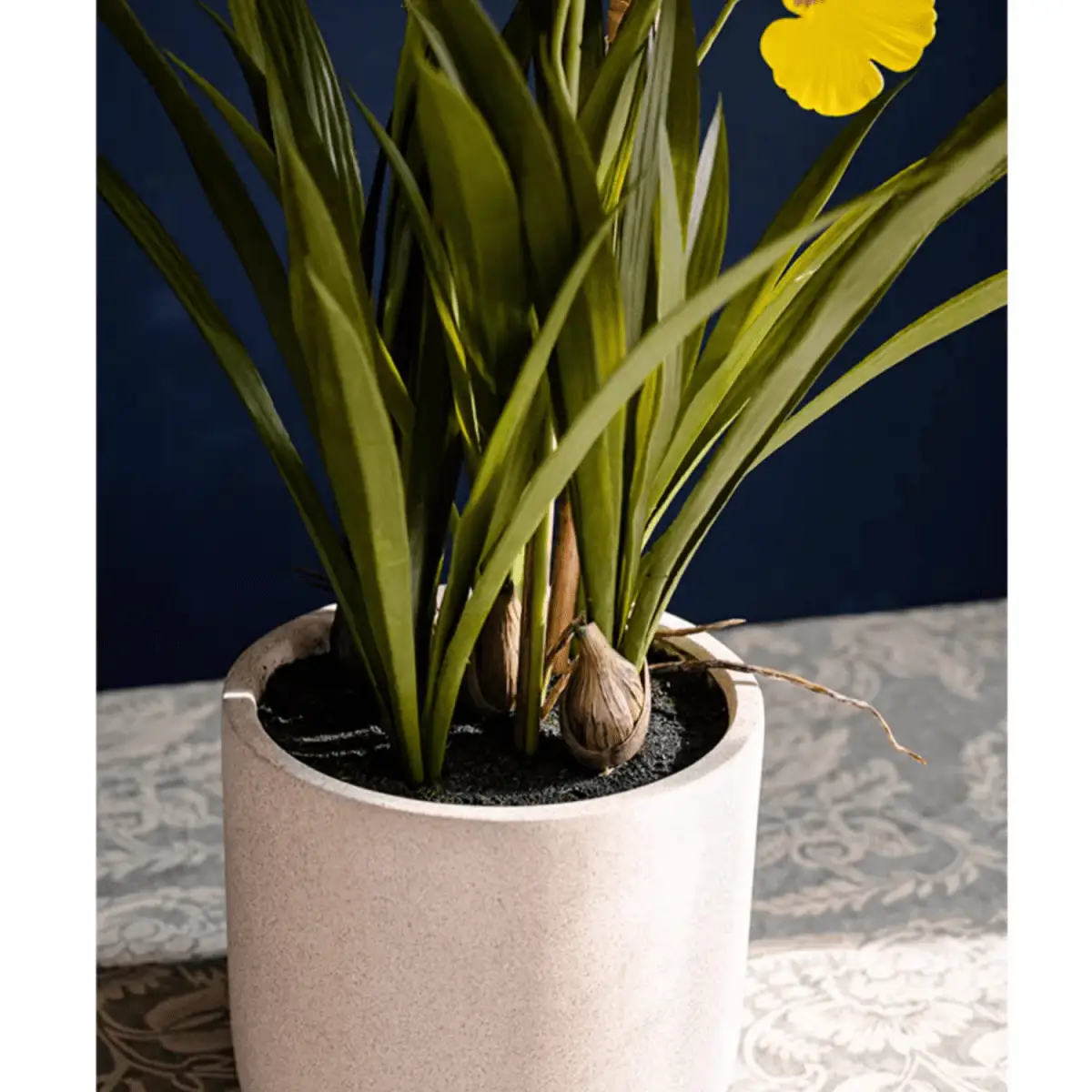 Potted Faux Dancing Lady Orchid by RusticReach