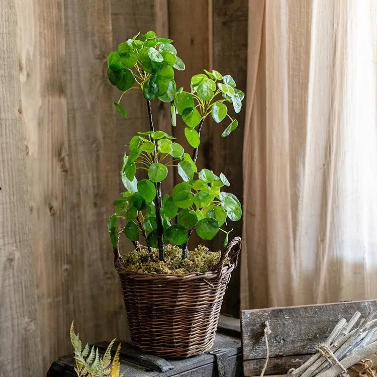 Artificial Potted Pilea Plant 26" Tall by RusticReach