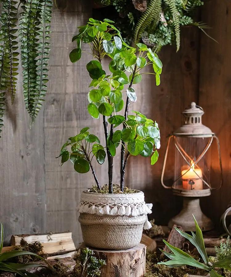 Artificial Potted Pilea Plant 26" Tall by RusticReach