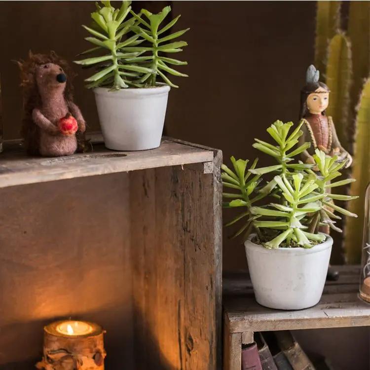 Artificial Faux Adromischus Succulent In Pot by RusticReach