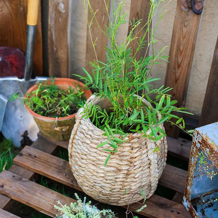 Large Rope Basket Cement Planter by RusticReach