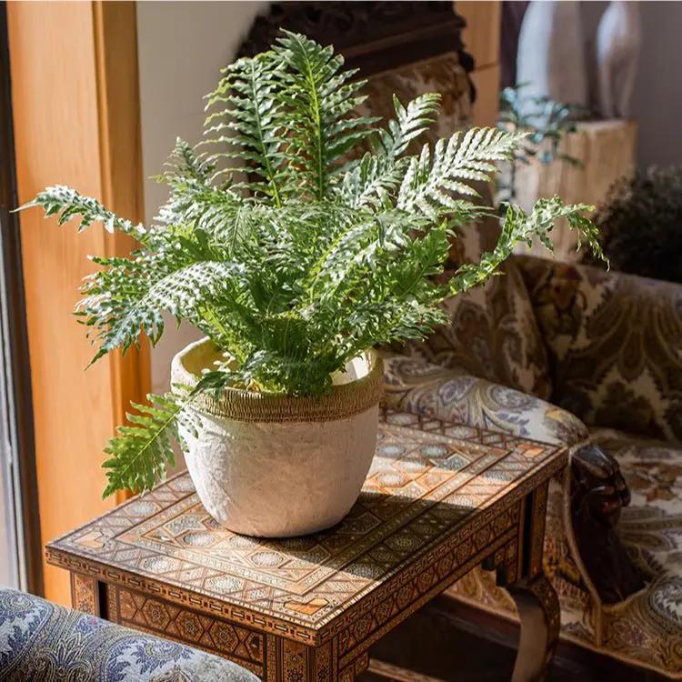 Rattan Pattern Edge Cement Planter by RusticReach