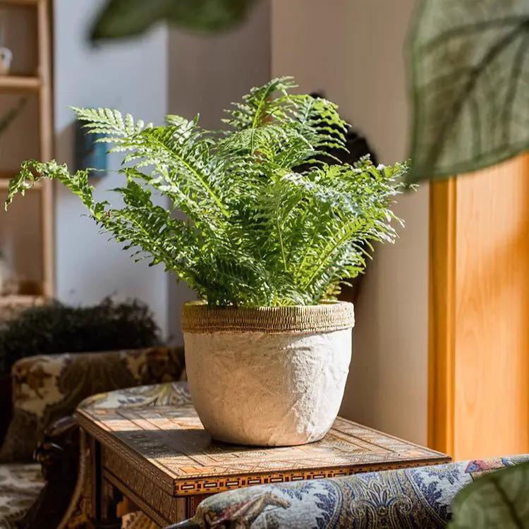 Rattan Pattern Edge Cement Planter by RusticReach