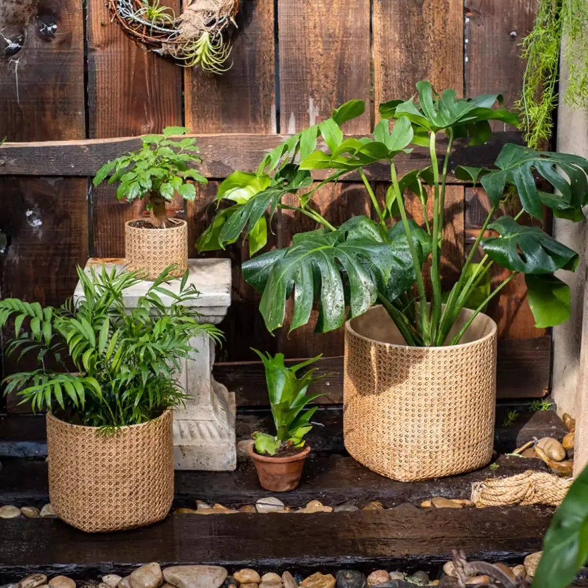 Rattan Texture Cement Planter by RusticReach