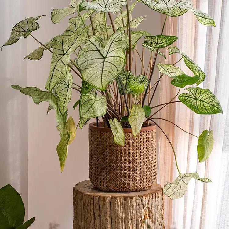 Rattan Texture Cement Planter by RusticReach