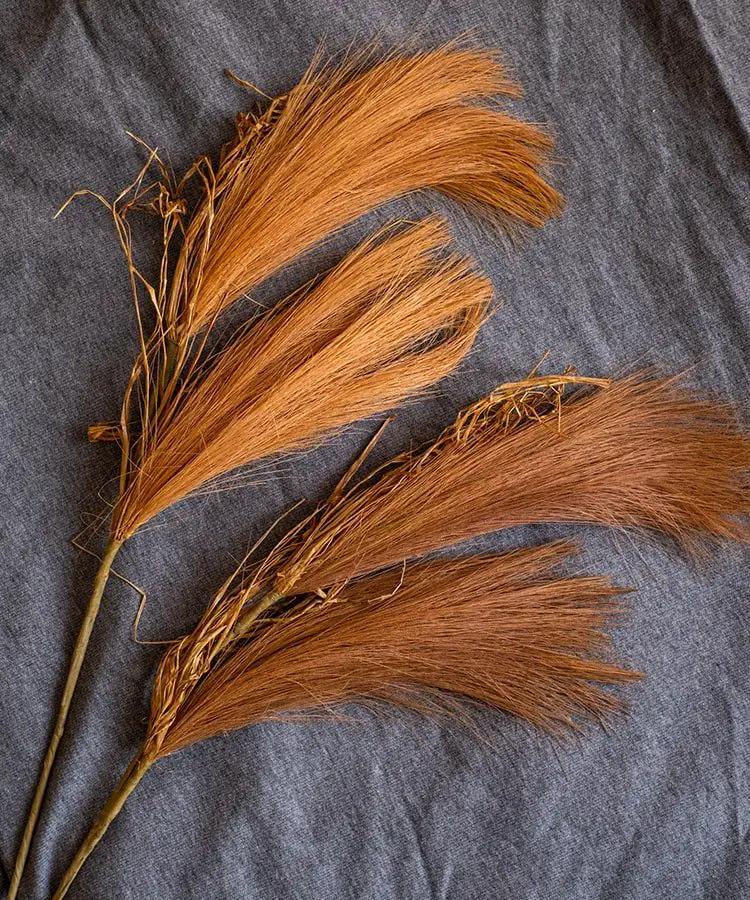 Faux Plant Reed Grass Stem In Various Colors 30" Tall by RusticReach