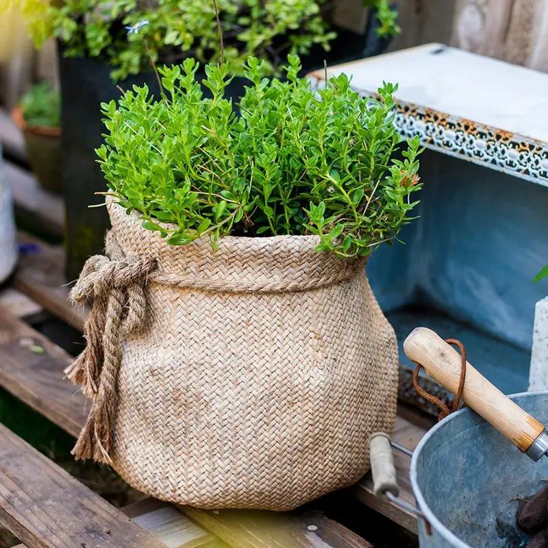 Ribbon Bag Style Concrete Garden Pot by RusticReach