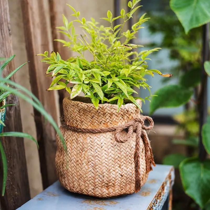 Ribbon Bag Style Concrete Garden Pot by RusticReach