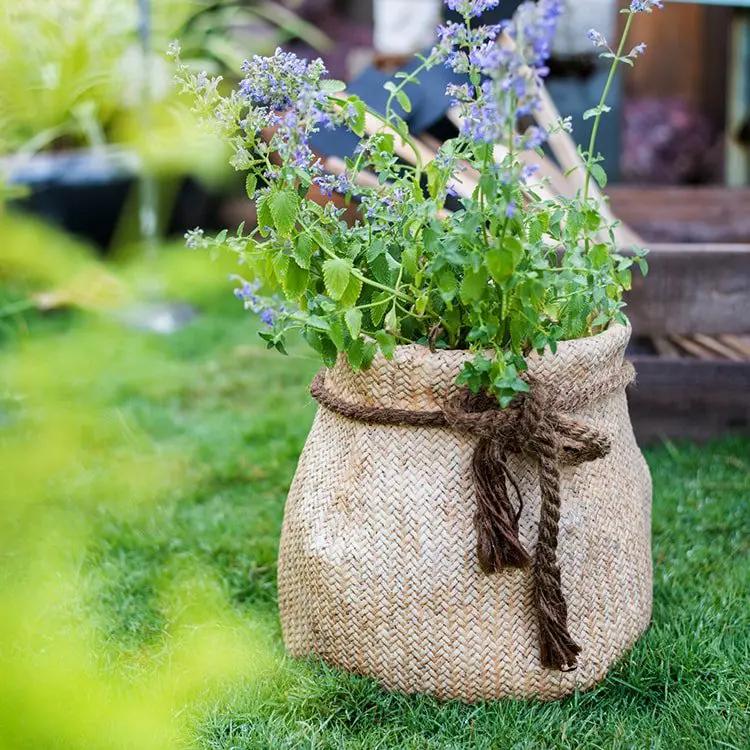 Ribbon Bag Style Concrete Garden Pot by RusticReach