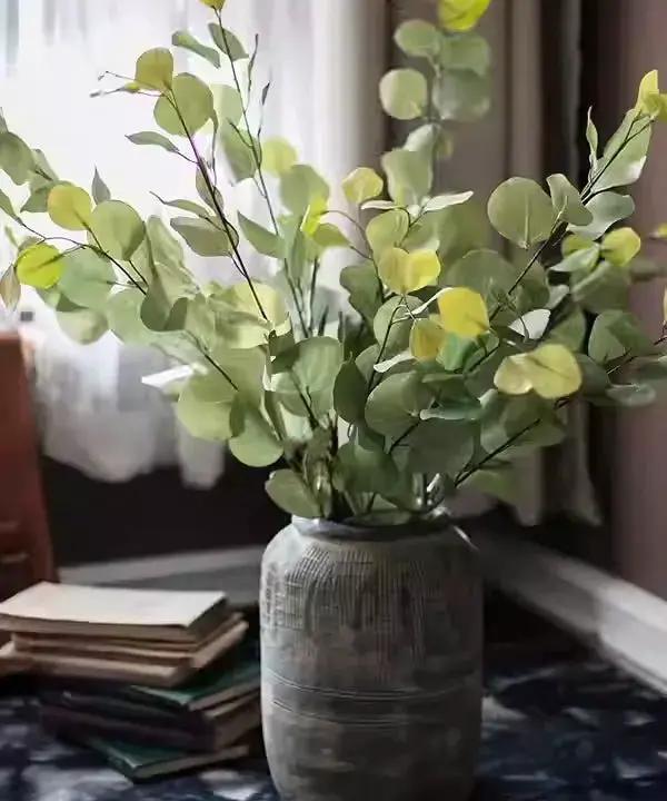 Round Leaf Eucalyptus Stem 44" Tall by RusticReach