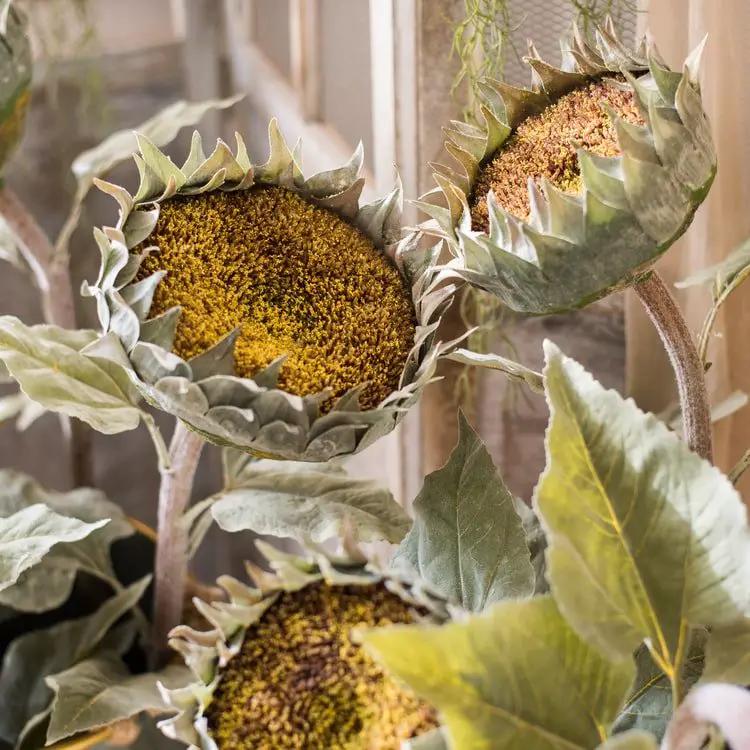 The Restoration Rustic Sunflower Stem by RusticReach