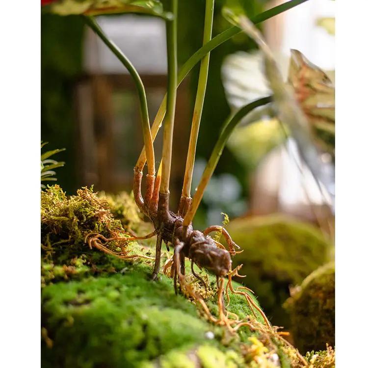 Faux Artificial Rooted Bunch Alocasia 19" Tall by RusticReach